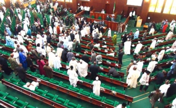 Nigeria House of Representative. NS