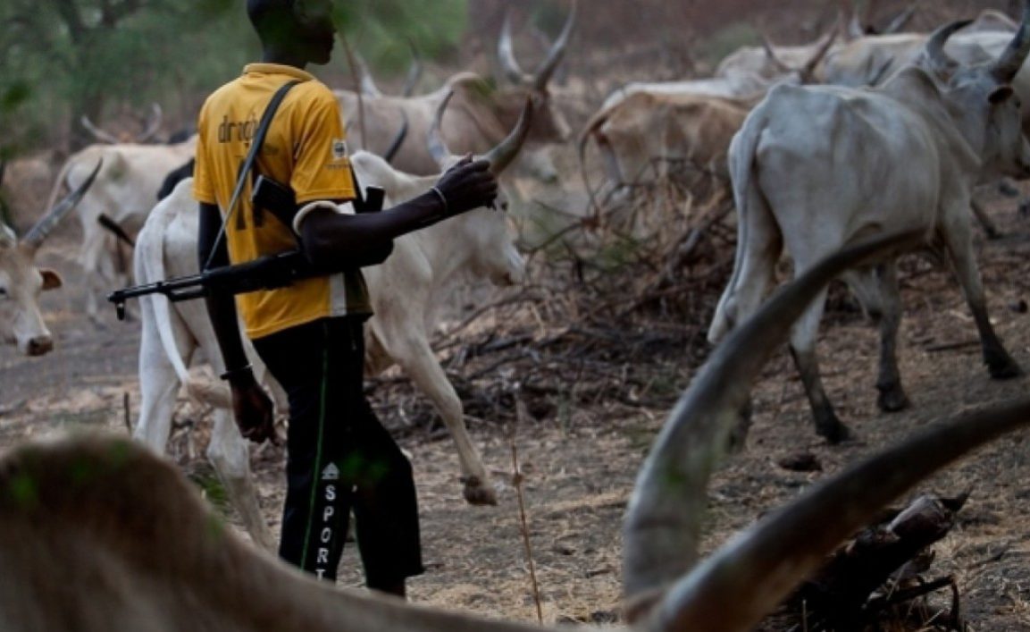 herdsmen in nigeria