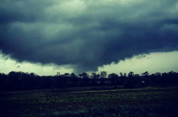 Tornado Kills 14 In Us State Of Alabama: Officials