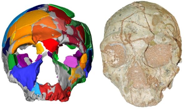 ‘oldest Remains’ Outside Africa Reset Human Migration Clock